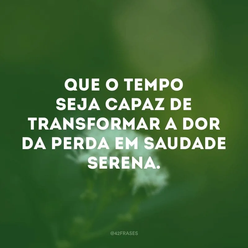 Que o tempo seja capaz de transformar a dor da perda em saudade serena.
