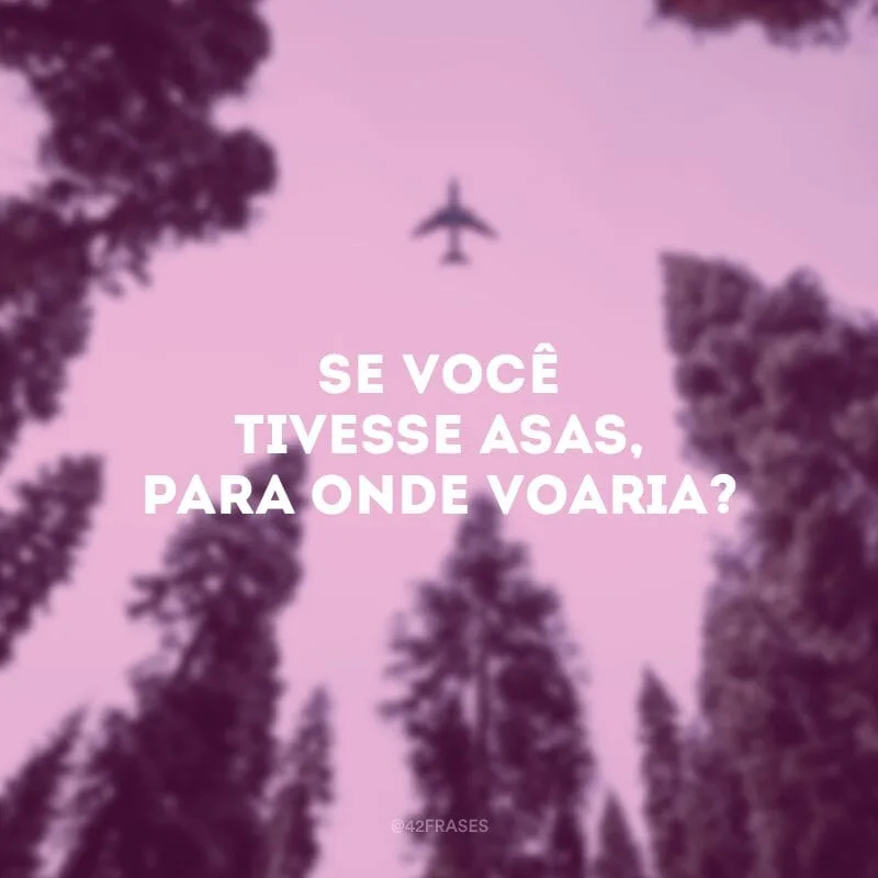 Se você tivesse asas, para onde voaria?