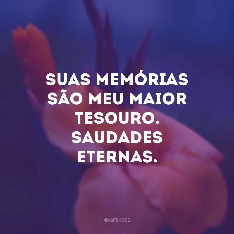 Suas memórias são meu maior tesouro. Saudades eternas.