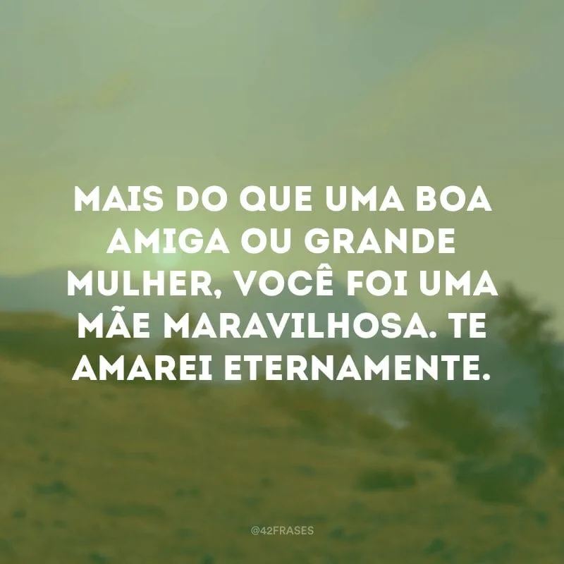 Mais do que uma boa amiga ou grande mulher, você foi uma mãe maravilhosa. Te amarei eternamente.
