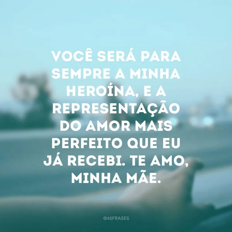 Você será para sempre a minha heroína, e a representação do amor mais perfeito que eu já recebi. Te amo, minha mãe.