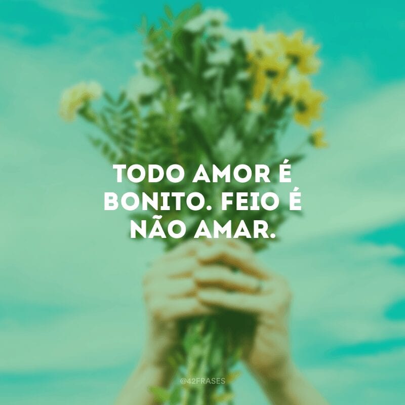 Todo amor é bonito. Feio é não amar.