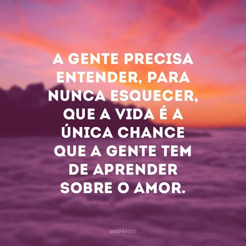 A gente precisa entender, para nunca esquecer, que a vida é a única chance que a gente tem de aprender sobre o amor.