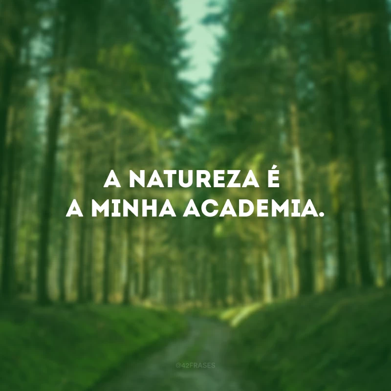 A natureza é a minha academia.