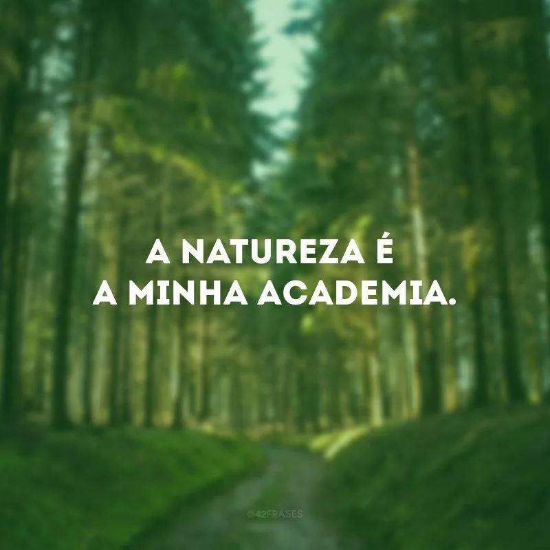 A natureza é a minha academia.