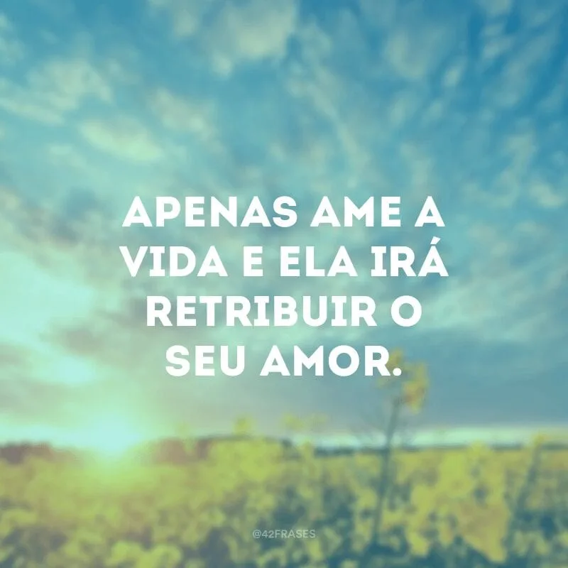 Apenas ame a vida e ela irá retribuir o seu amor.