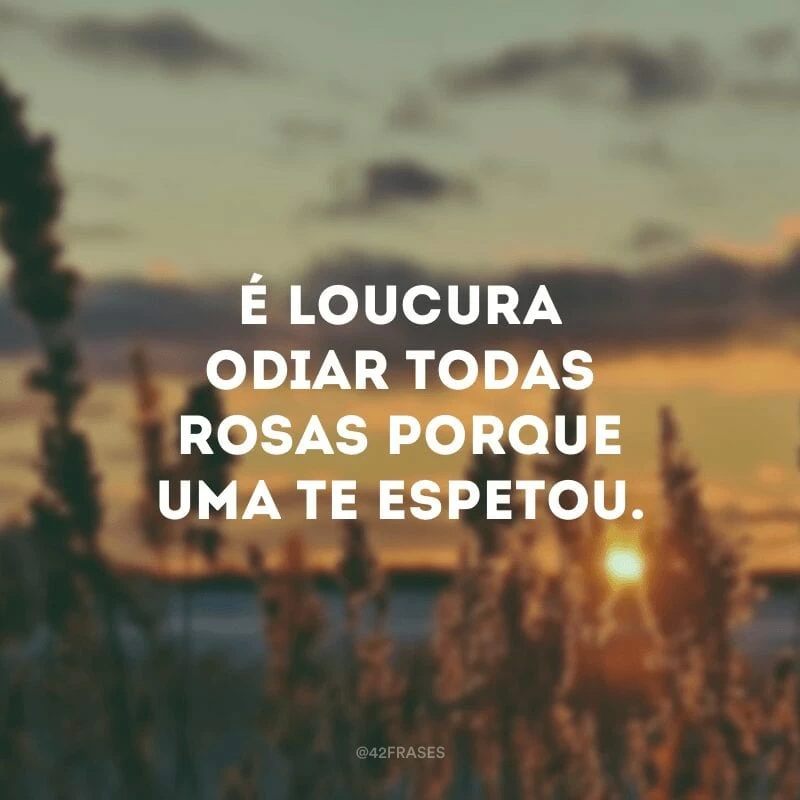 É loucura odiar todas rosas porque uma te espetou. 