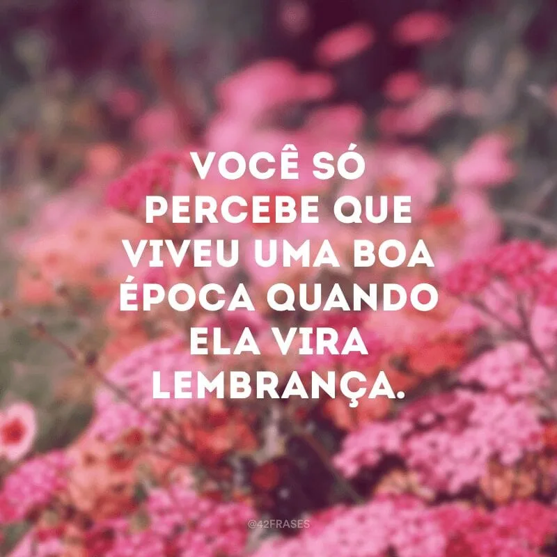 Você só percebe que viveu uma boa época quando ela vira lembrança.