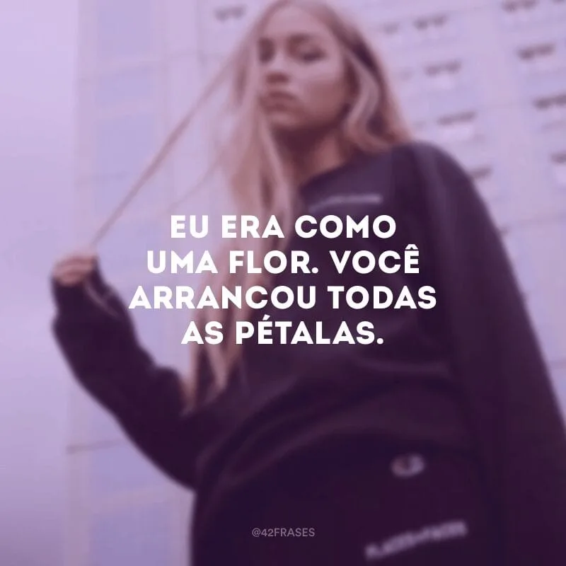 Eu era como uma flor. Você arrancou todas as pétalas.