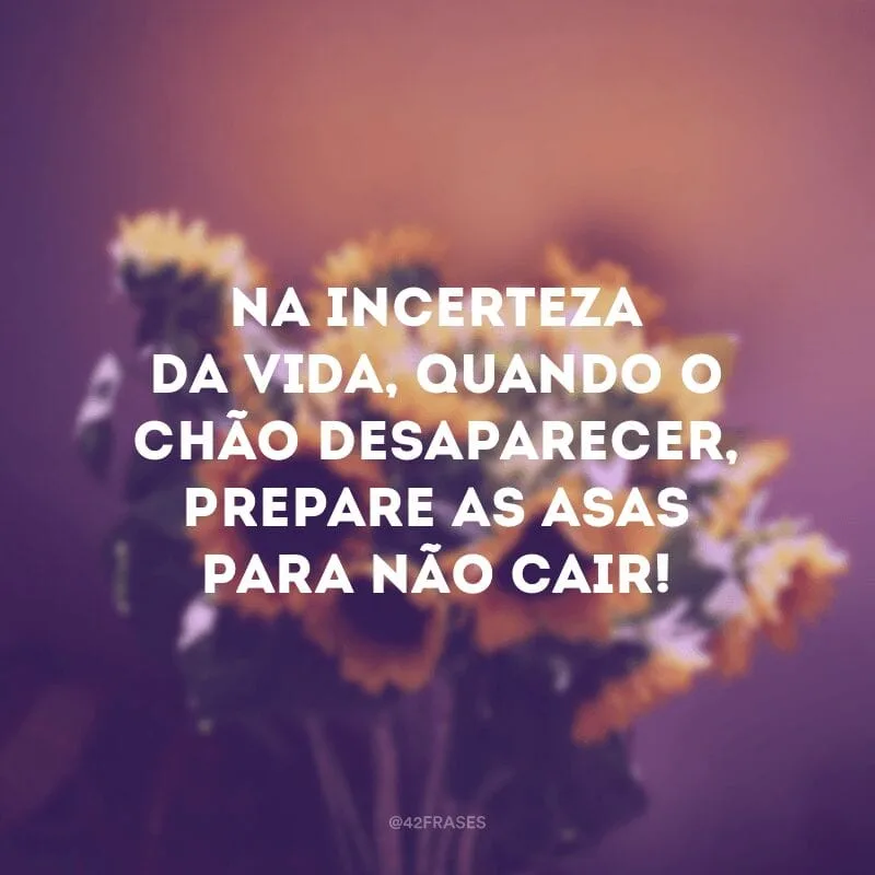 Na incerteza da vida, quando o chão desaparecer, prepare as asas para não cair!