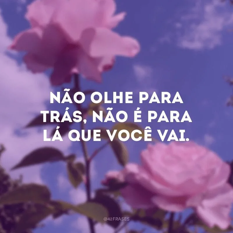 Não olhe para trás, não é para lá que você vai.