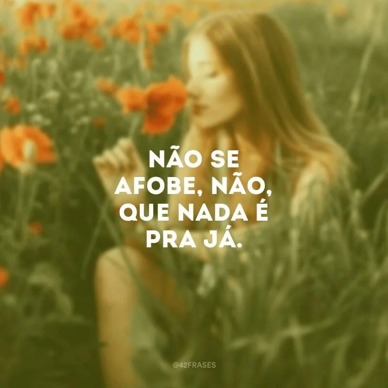 Não se afobe, não, que nada é pra já.