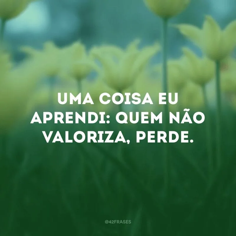 Uma coisa eu aprendi: quem não valoriza, perde.