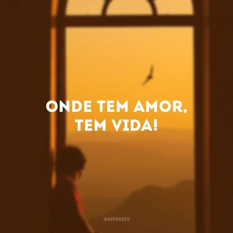 Onde tem amor, tem vida! 