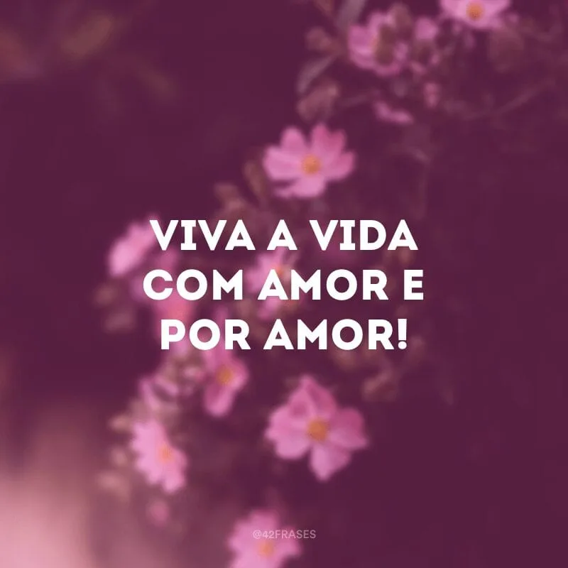 Viva a vida com amor e por amor!