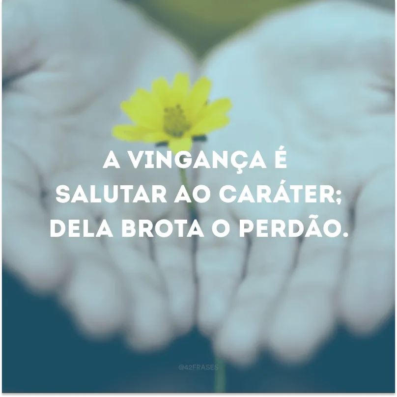 A vingança é salutar ao caráter; dela brota o perdão. 