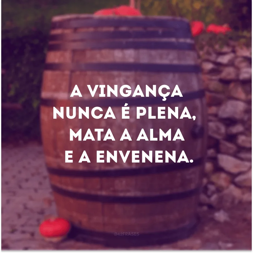 A vingança nunca é plena, mata a alma e a envenena. 