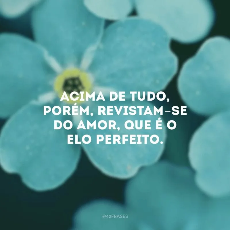 Acima de tudo, porém, revistam-se do amor, que é o elo perfeito.  