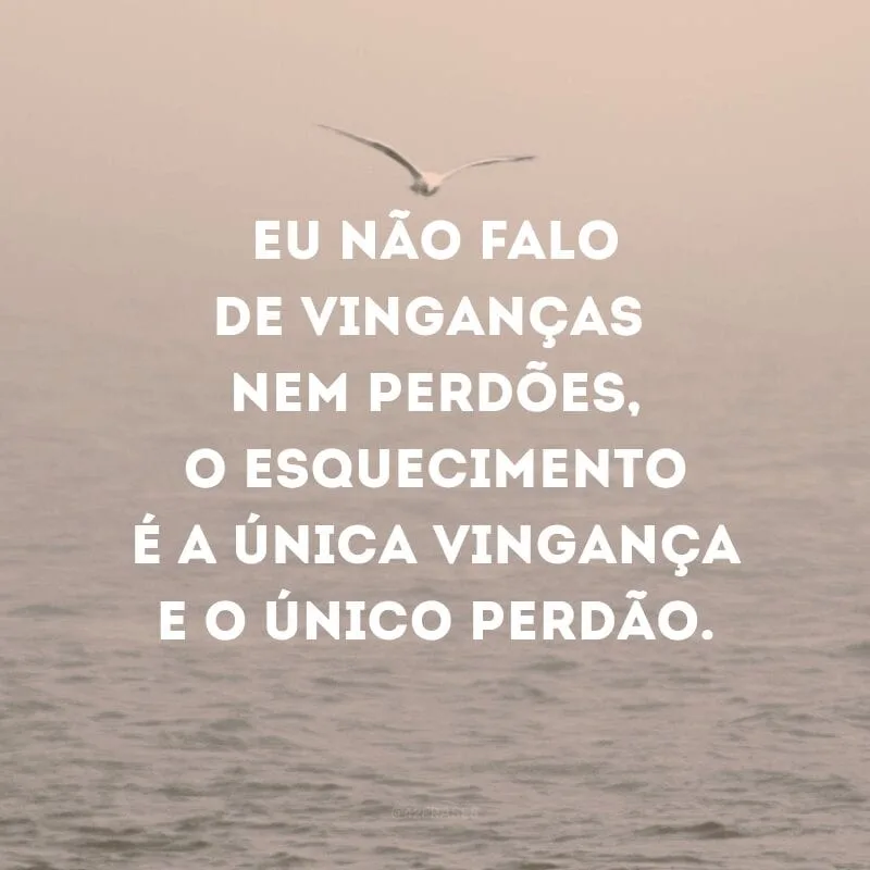 Eu não falo de vinganças nem perdões, o esquecimento é a única vingança e o único perdão. 