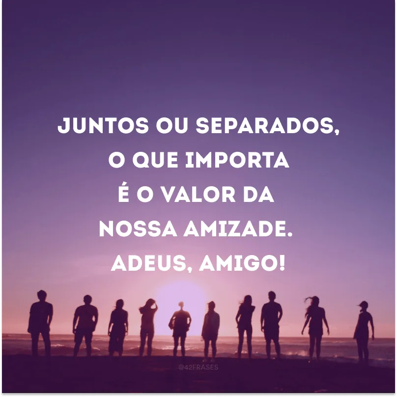 Juntos ou separados, o que importa é o valor da nossa amizade. Adeus, amigo!