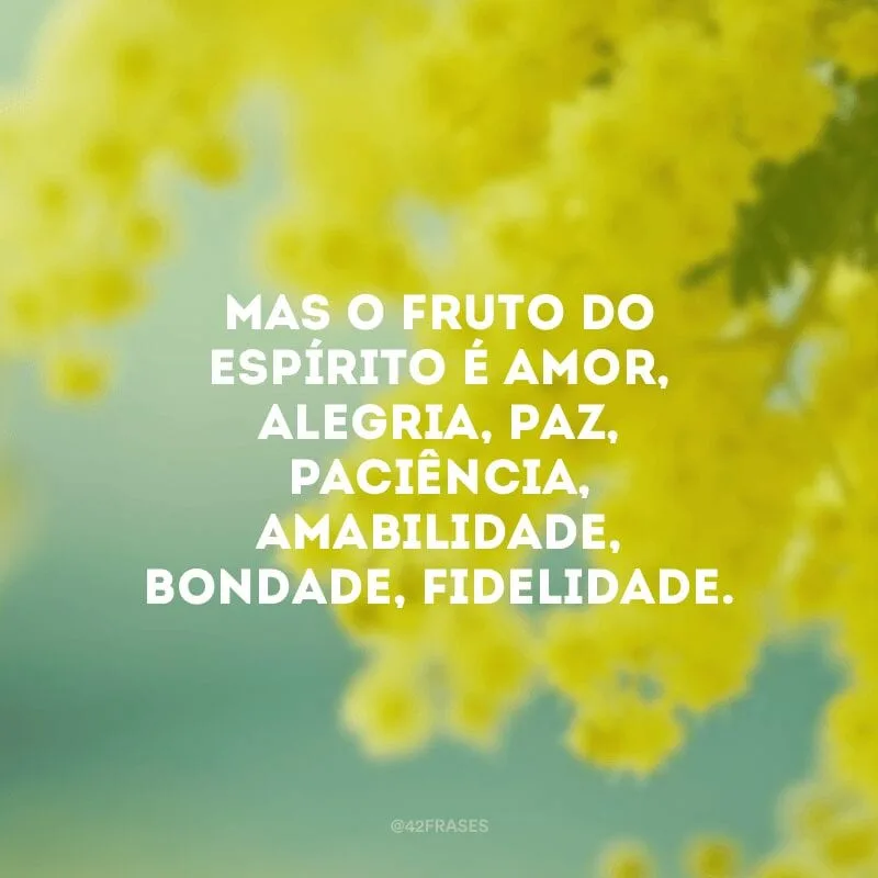 Mas o fruto do Espírito é amor, alegria, paz, paciência, amabilidade, bondade, fidelidade. 