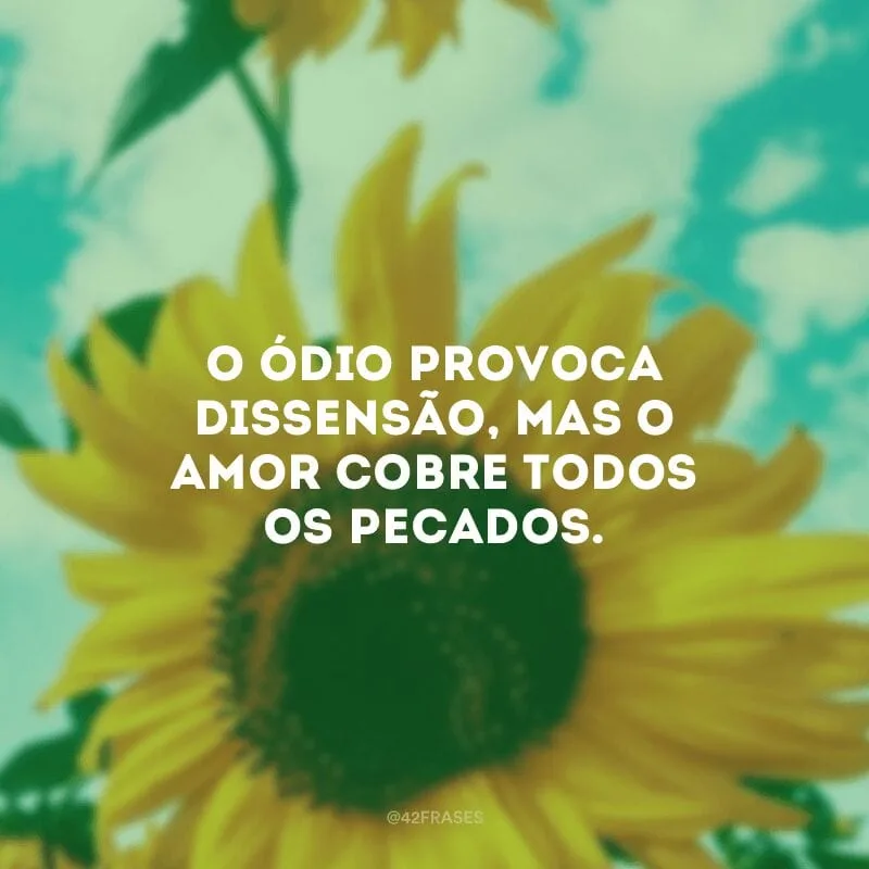 O ódio provoca dissensão, mas o amor cobre todos os pecados. 