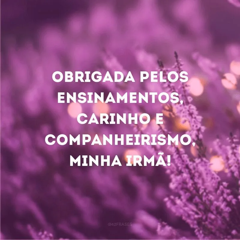 Obrigada pelos ensinamentos, carinho e companheirismo, minha irmã!
