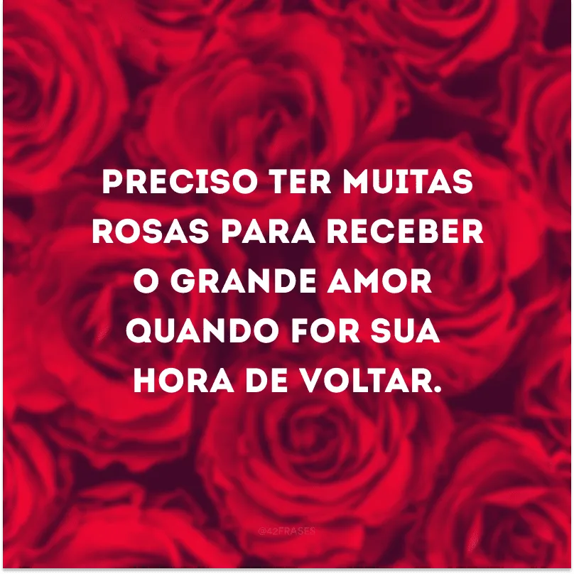 Preciso ter muitas rosas para receber o grande amor quando for sua hora de voltar.