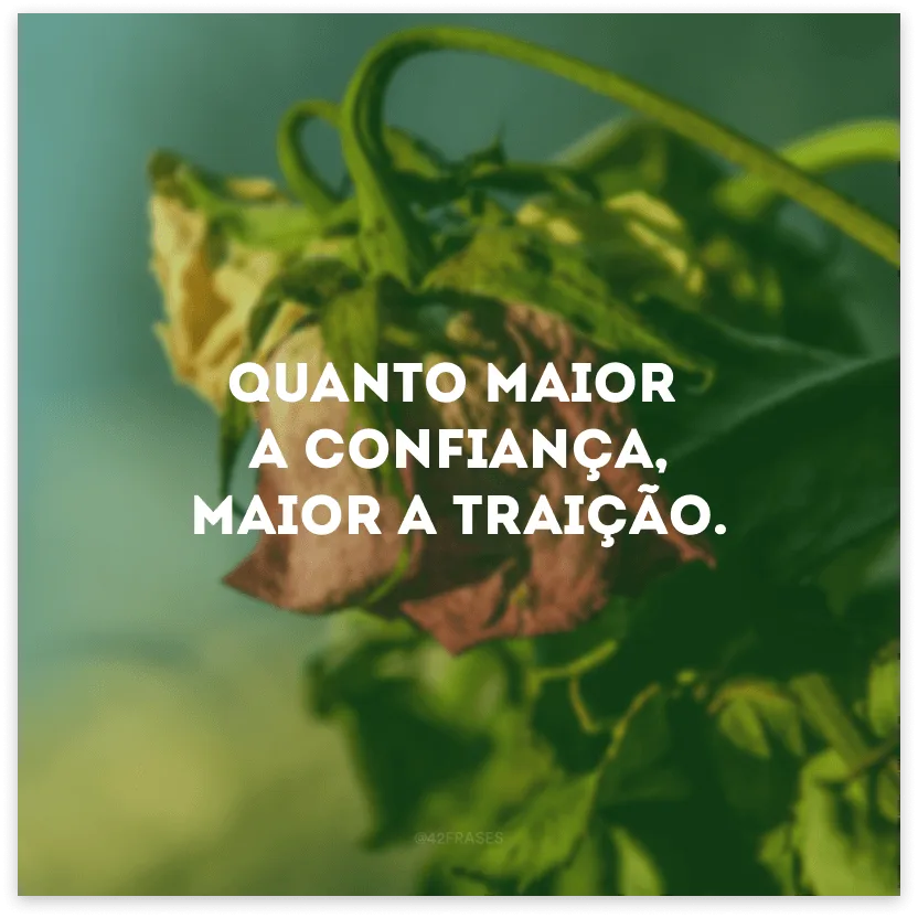 Quanto maior a confiança, maior a traição.