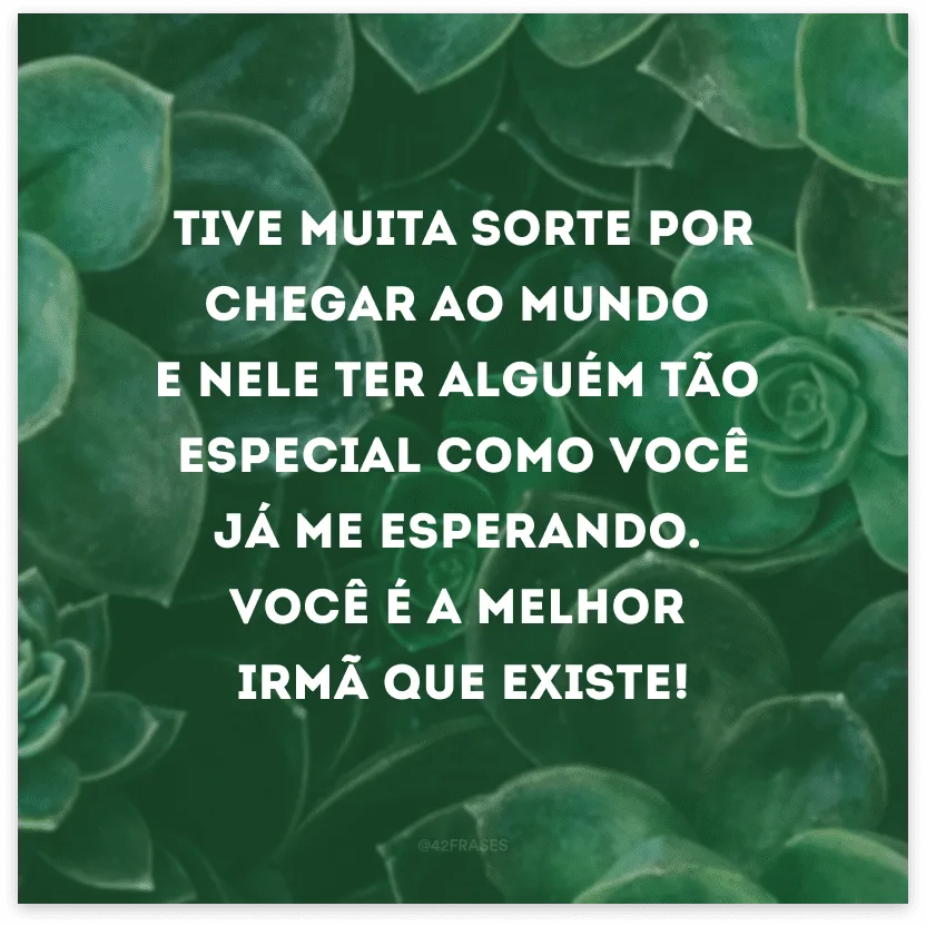 Tive muita sorte por chegar ao mundo e nele ter alguém tão especial como você já me esperando. Você é a melhor irmã que existe!