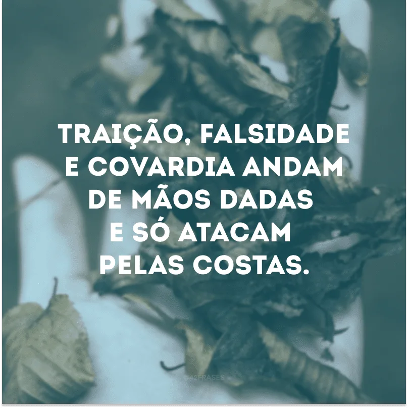 Traição, falsidade e covardia andam de mãos dadas e só atacam pelas costas.