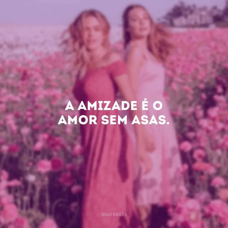 A amizade é o amor sem asas. 