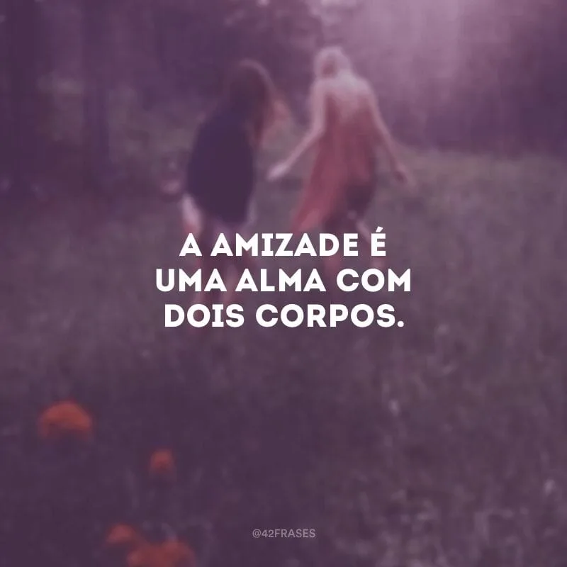 A amizade é uma alma com dois corpos. 