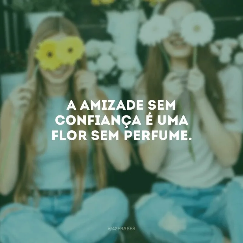 A amizade sem confiança é uma flor sem perfume. 