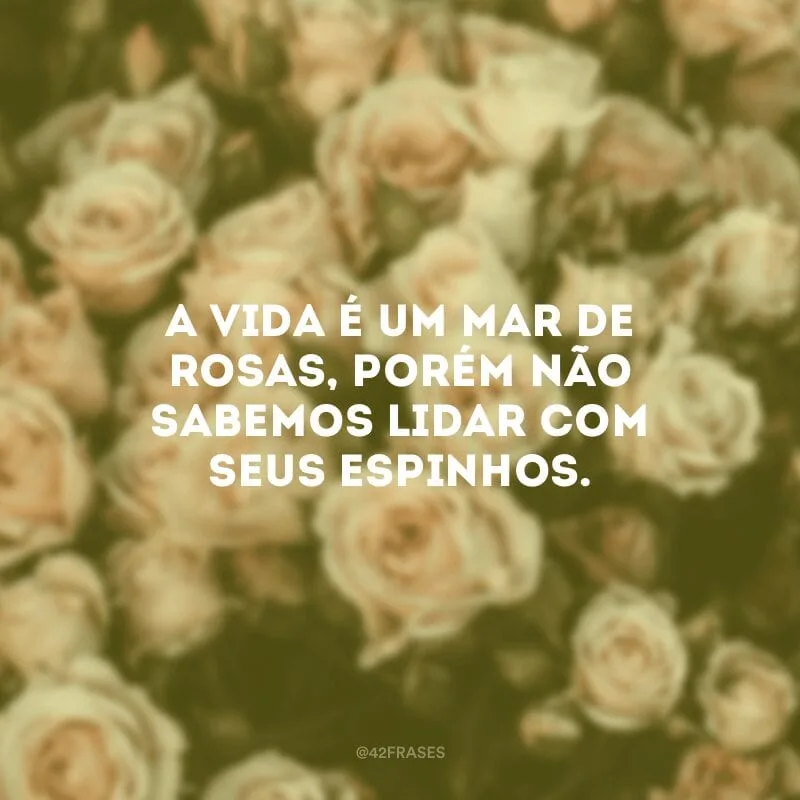 A vida é um mar de rosas, porém não sabemos lidar com seus espinhos. 