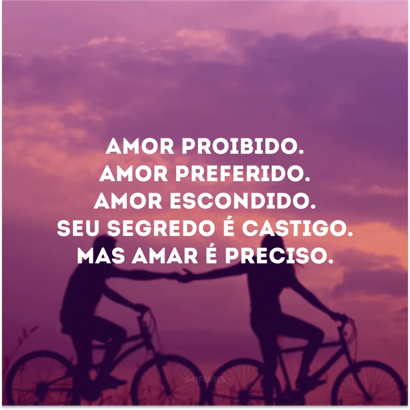 Amor proibido. Amor preferido. Amor escondido. Seu segredo é castigo. Mas amar é preciso.