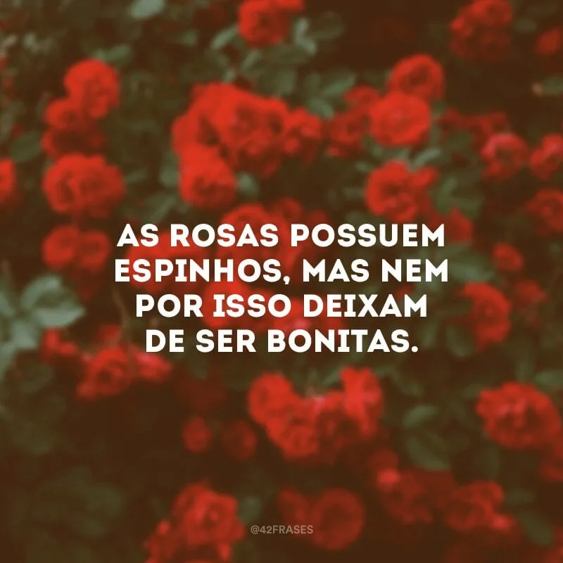 As rosas possuem espinhos, mas nem por isso deixam de ser bonitas.