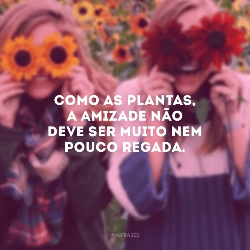 Como as plantas, a amizade não deve ser muito nem pouco regada. 