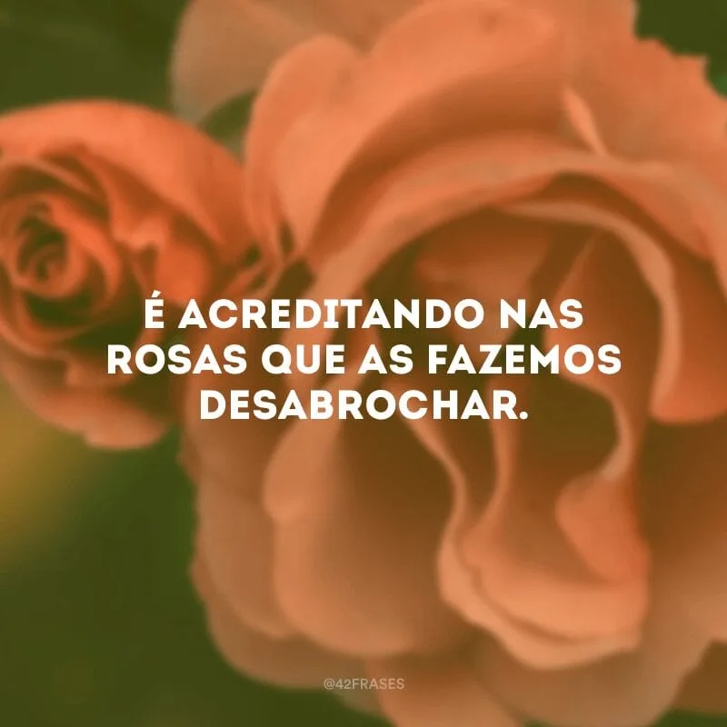 É acreditando nas rosas que as fazemos desabrochar. 