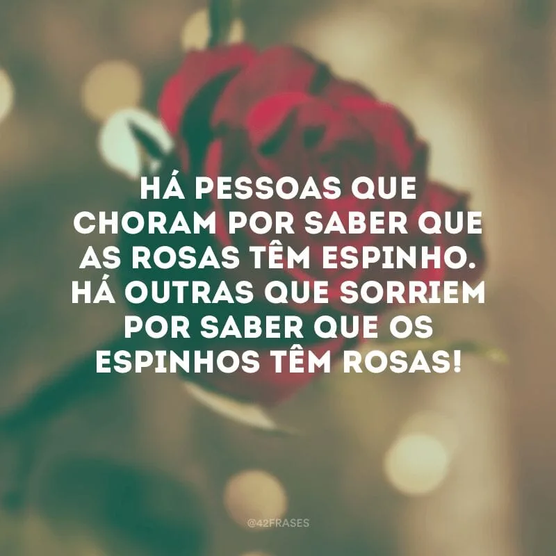 Há pessoas que choram por saber que as rosas têm espinho. Há outras que sorriem por saber que os espinhos têm rosas!