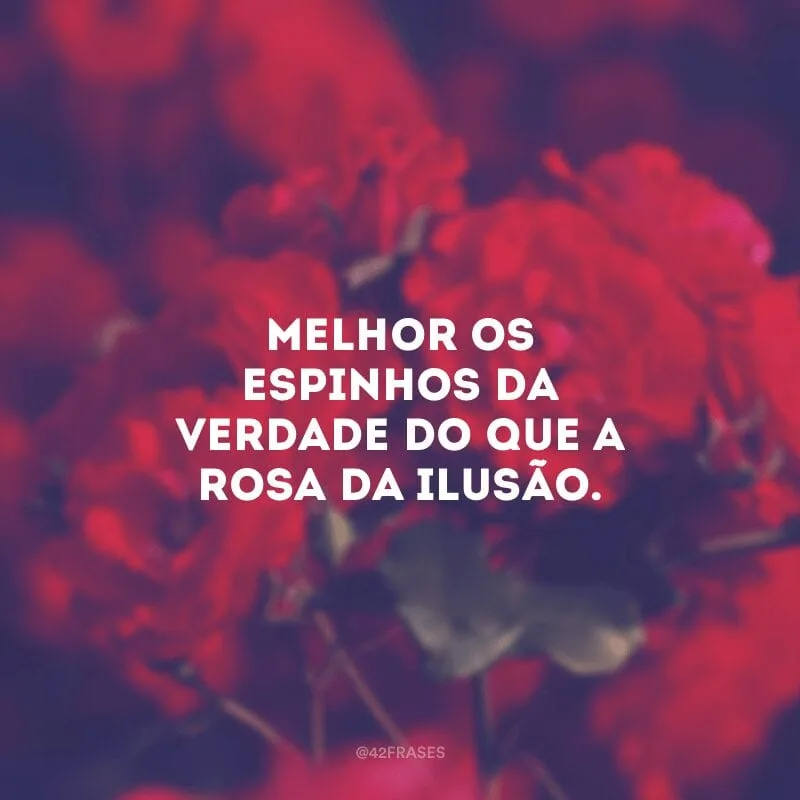 Melhor os espinhos da verdade do que a rosa da ilusão.