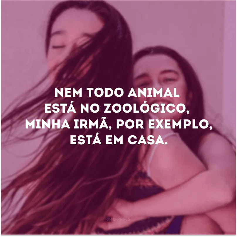 Nem todo animal está no zoológico, minha irmã, por exemplo, está em casa.
