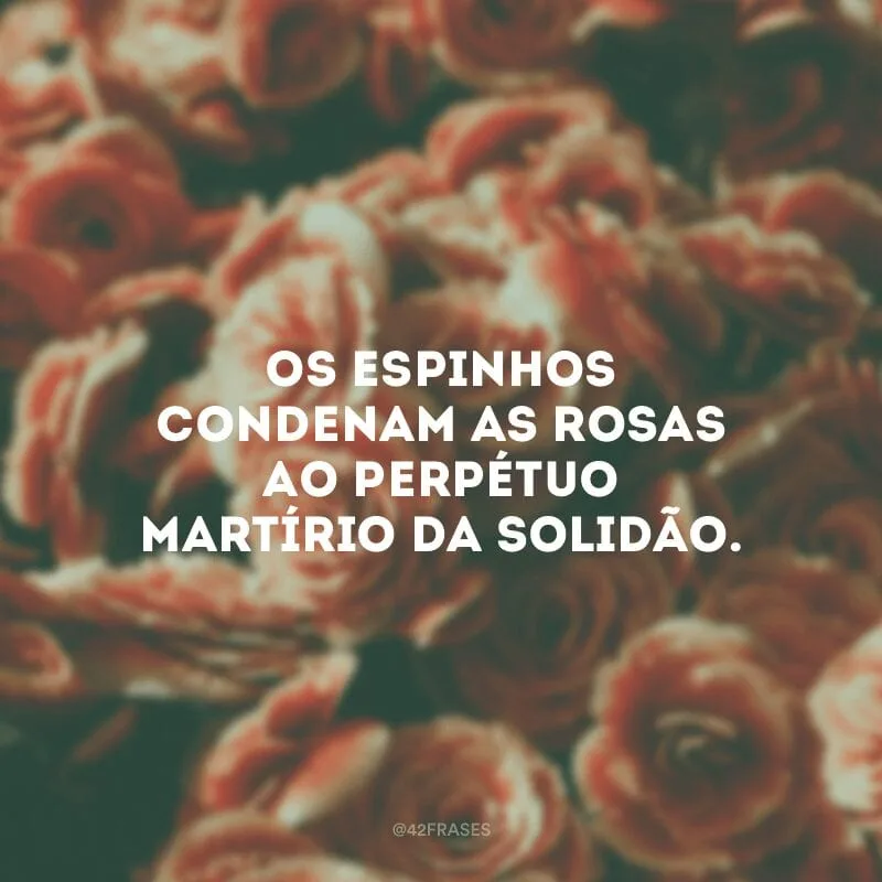 Os espinhos condenam as rosas ao perpétuo martírio da solidão. 
