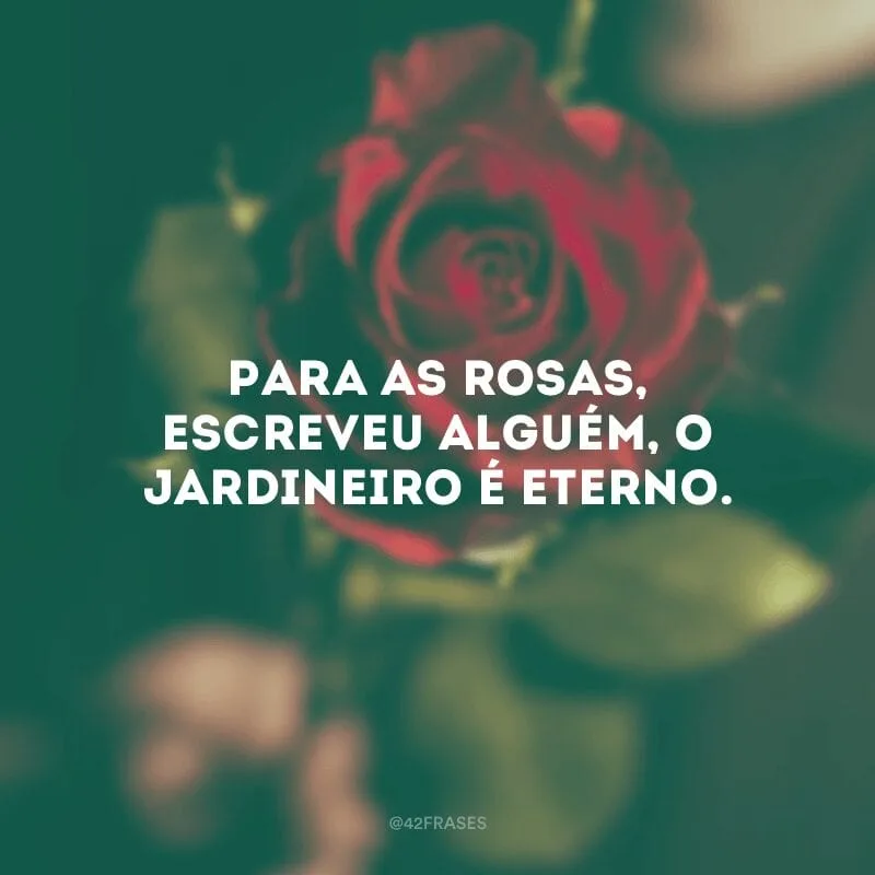 Para as rosas, escreveu alguém, o jardineiro é eterno. 