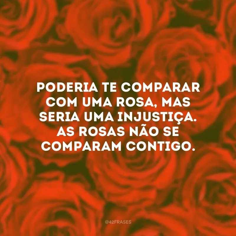 Poderia te comparar com uma rosa, mas seria uma injustiça. As rosas não se comparam contigo. 