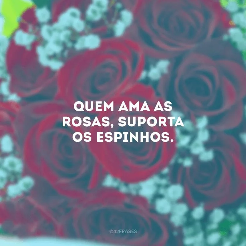 Quem ama as rosas, suporta os espinhos.