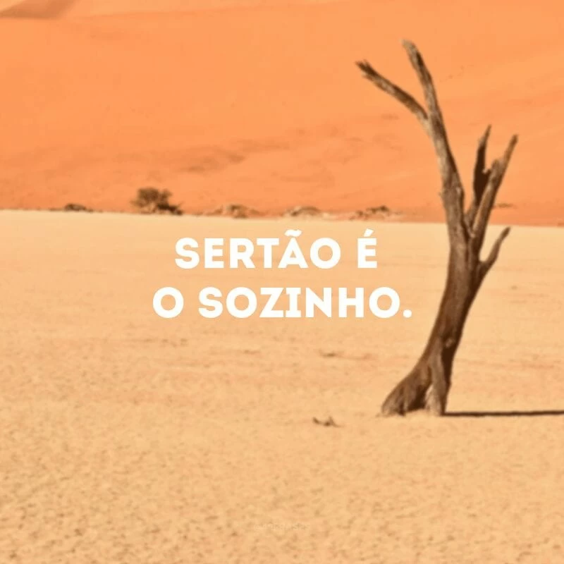 Sertão é o sozinho.