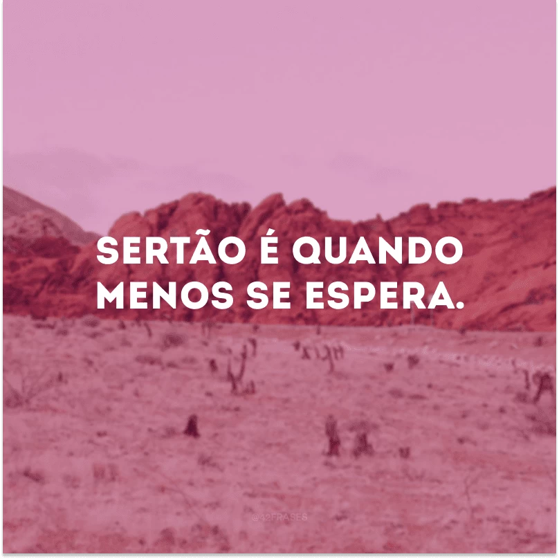 Sertão é quando menos se espera.