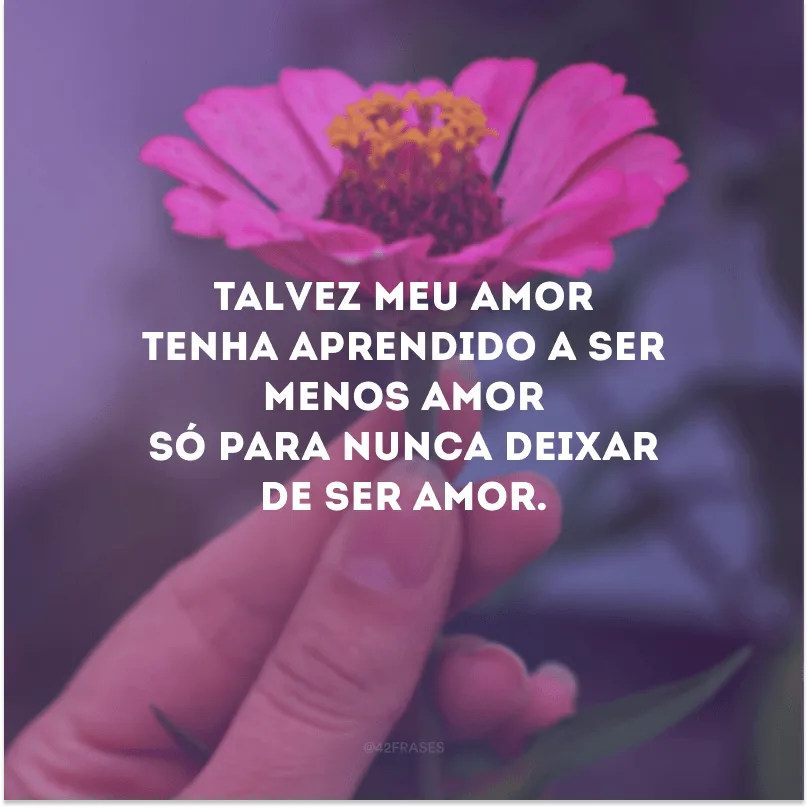 Talvez meu amor tenha aprendido a ser menos amor só para nunca deixar de ser amor.