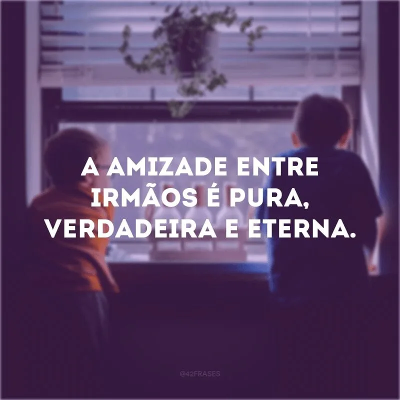 A amizade entre irmãos é pura, verdadeira e eterna.